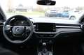 Skoda Fabia Selection+LED+APP+5J.Garantie Grau - thumbnail 12