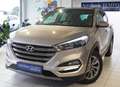 Hyundai TUCSON Tucson 2,0 CRDI 4WD Platin Aut. --Vollausstattu... Beige - thumbnail 1