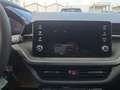 Skoda Fabia Essence - NEUWAGEN 95 PS - nur € 16.999,-* Grau - thumbnail 15