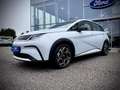 BYD Dolphin Comfort 204PS Aut. LAGER AKTION Alb - thumbnail 2