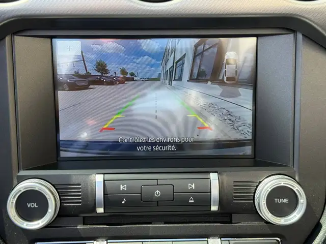 Ford Mustang view 27