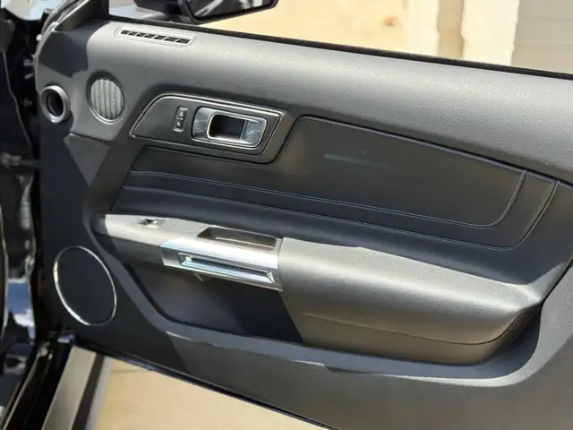 Ford Mustang view 29