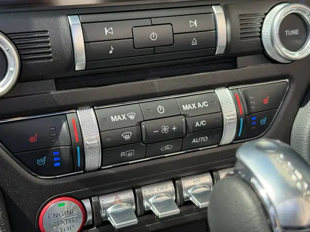 Ford Mustang view 28