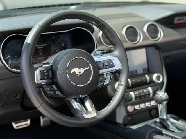 Ford Mustang view 21