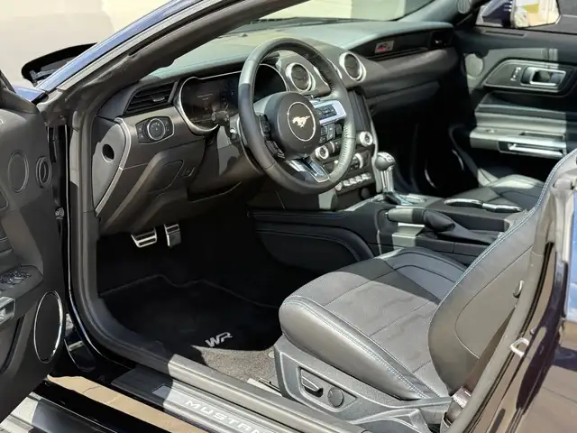 Ford Mustang view 20