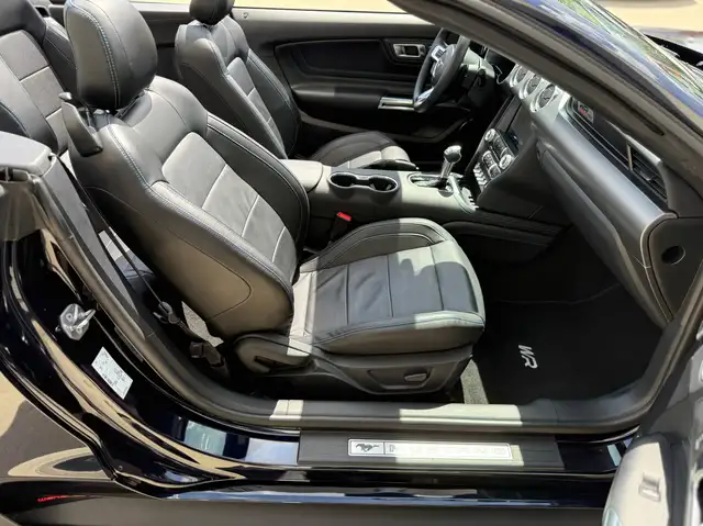 Ford Mustang view 25