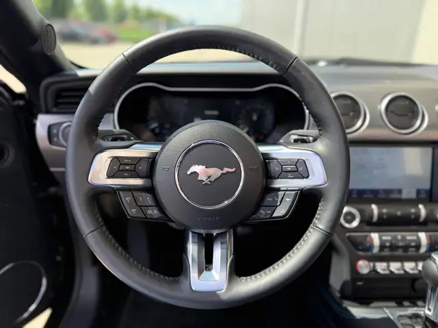 Ford Mustang view 22