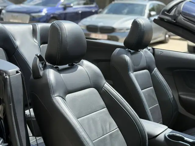 Ford Mustang view 24