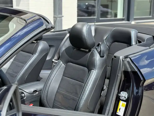 Ford Mustang view 19