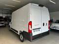 Fiat Ducato 35 MH2 2.2 MJT3 140CV E6D KM 24.000 PREZZO + IVA Blanc - thumbnail 3