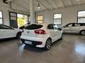 Kia Rio Rio 1.1 CRDi 5p.S&S High Tech Bianco - thumbnail 6