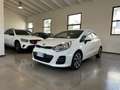 Kia Rio Rio 1.1 CRDi 5p.S&S High Tech Bianco - thumbnail 3