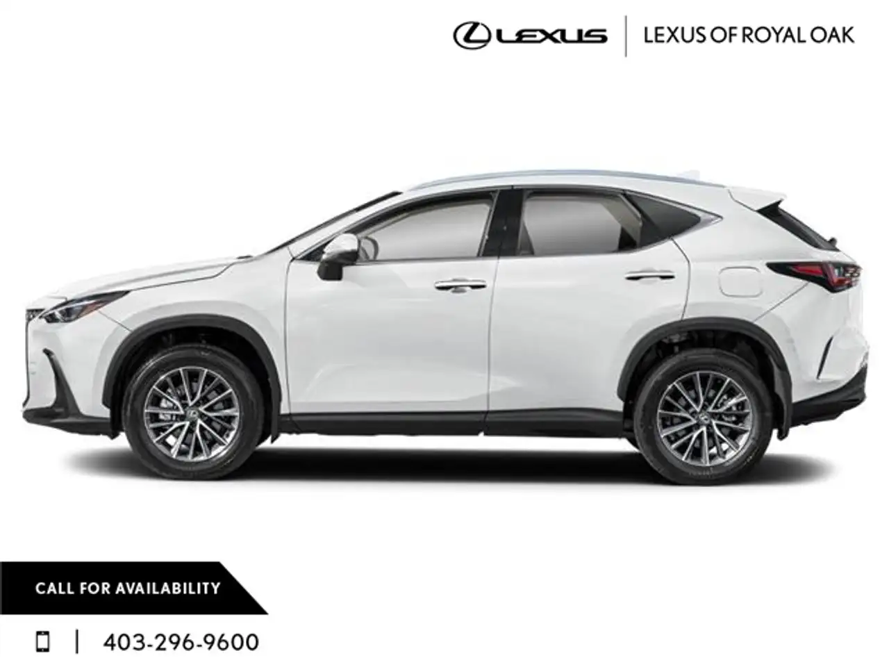 Lexus NX снимка Lexus NX