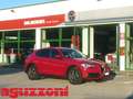 Alfa Romeo Stelvio 2.2 TD 190 CV AT8 Q4 Sport-Tech Rosso - thumbnail 1
