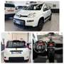 Fiat Panda City Life 1.0 HYBRID *NO OBBLIGO FINANZIAMENTO* Bianco - thumbnail 1