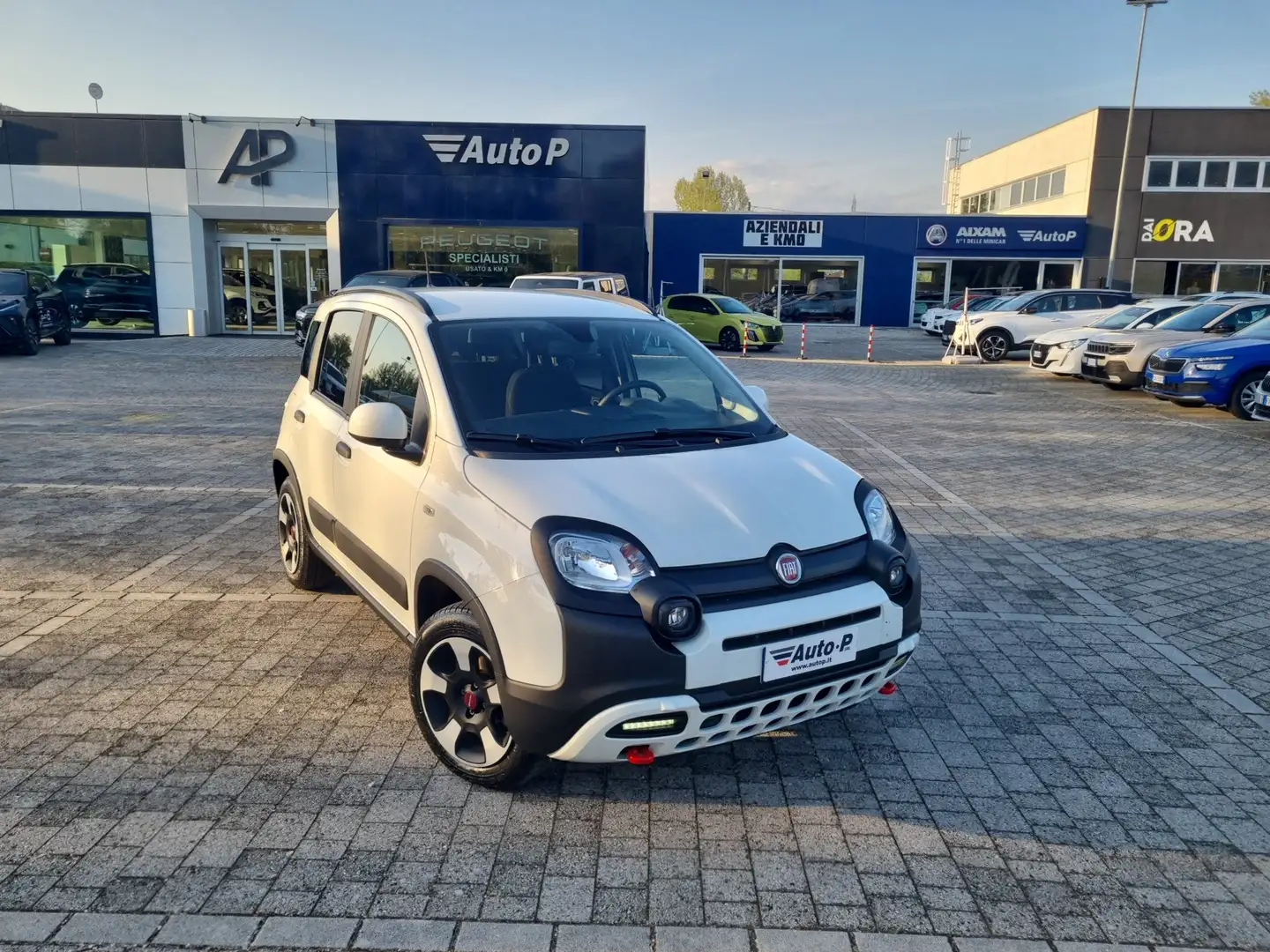 Fiat Panda 1.0 FireFly S&S Hybrid Wit - 2