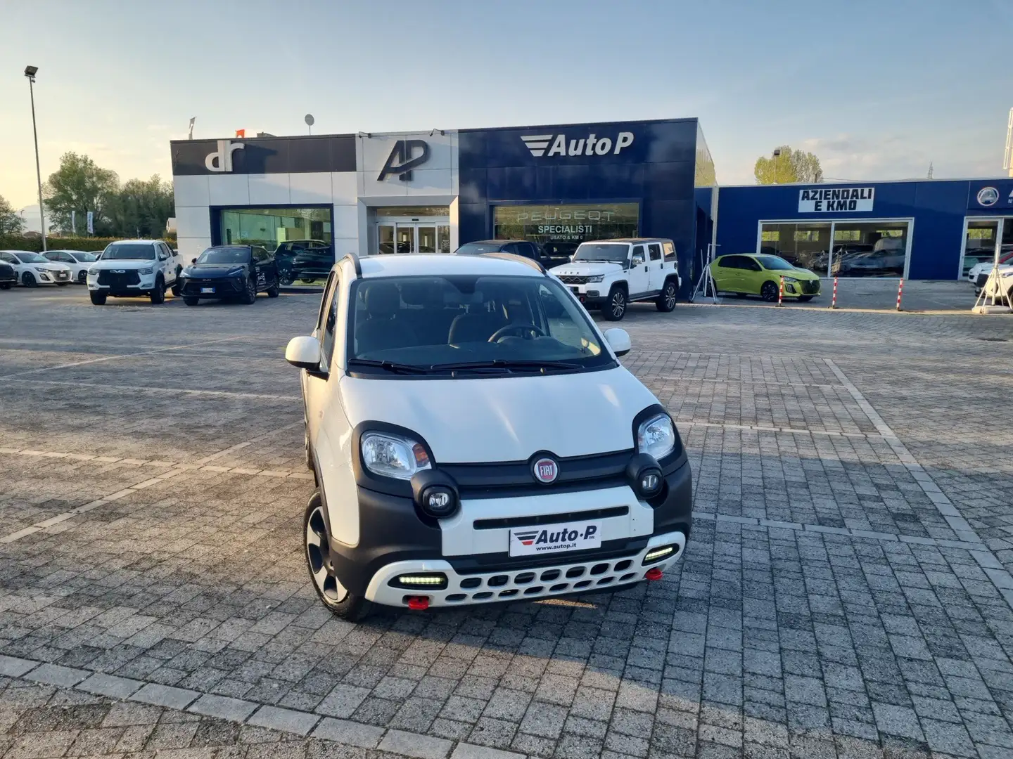 Fiat Panda 1.0 FireFly S&S Hybrid Wit - 1