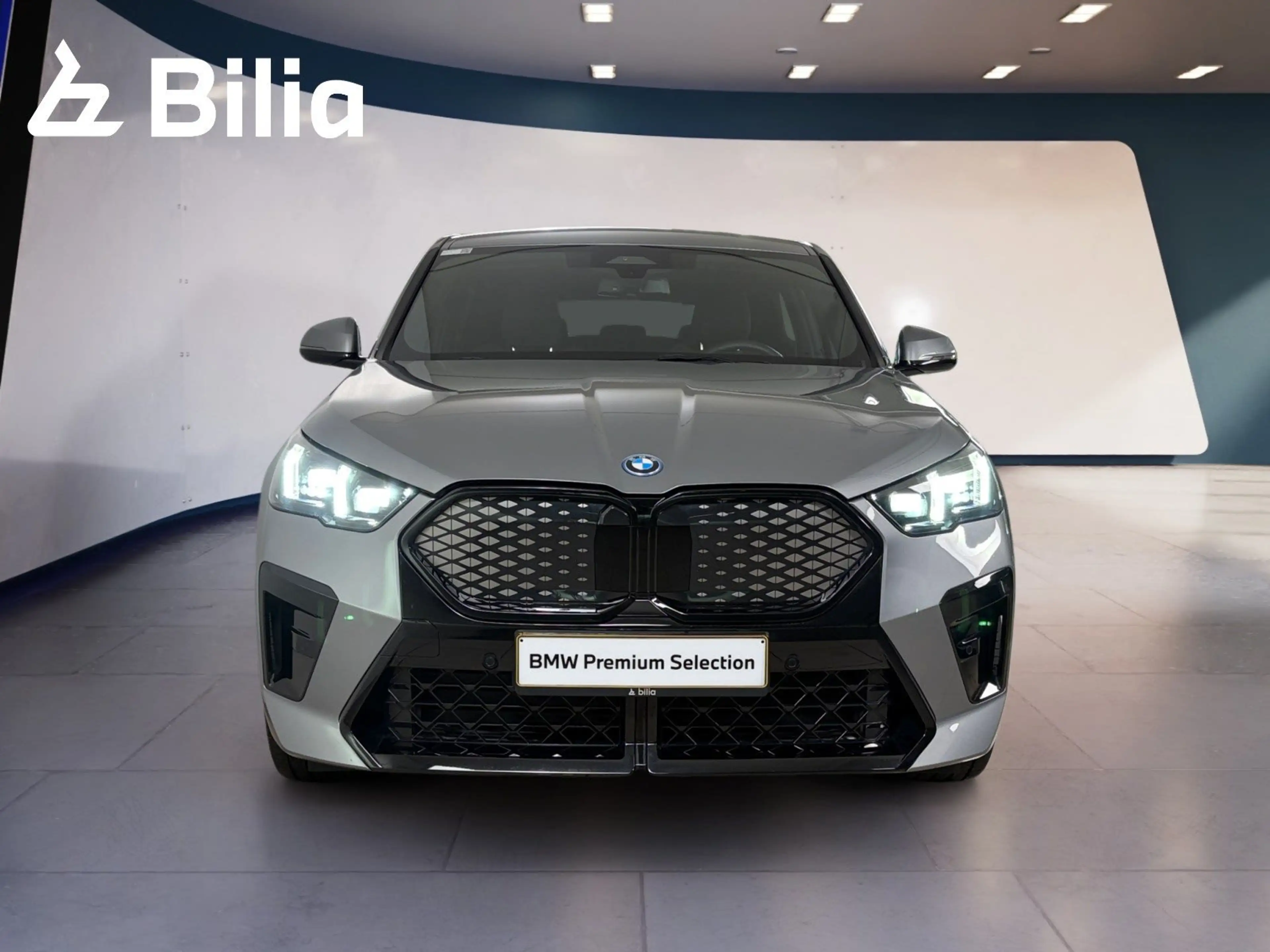 BMW iX2 xDrive30 DAB LED Komfortzg. — photo 2