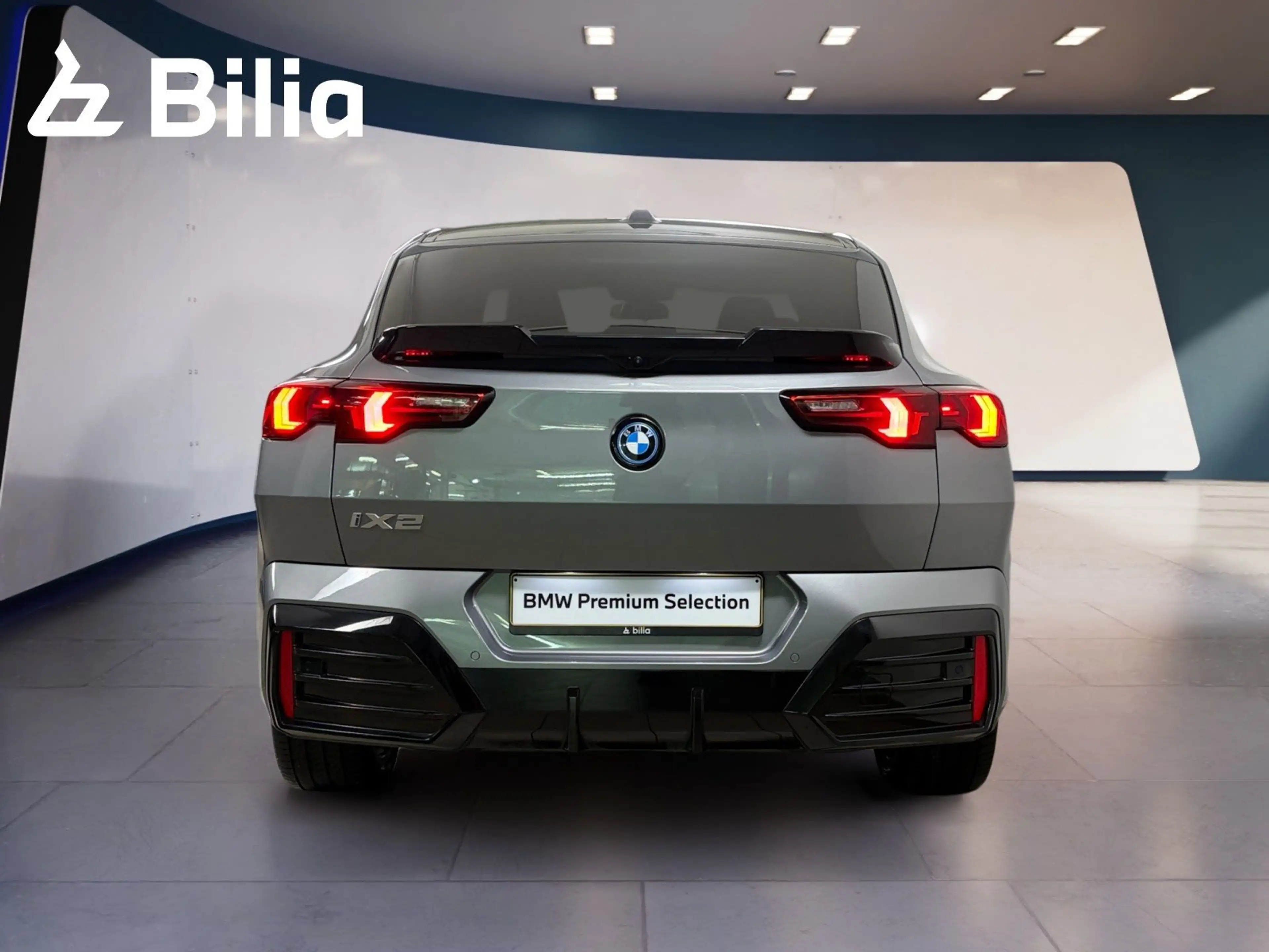 BMW iX2 xDrive30 DAB LED Komfortzg. — photo 4