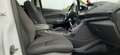 Ford C-Max Restyling 1.5 TDCi 120CV Km 0!!! Bianco - thumbnail 9