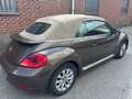 Volkswagen Beetle Beetle Cabriolet 1.6 tdi Brun - thumbnail 5
