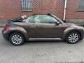 Volkswagen Beetle Beetle Cabriolet 1.6 tdi Brun - thumbnail 19