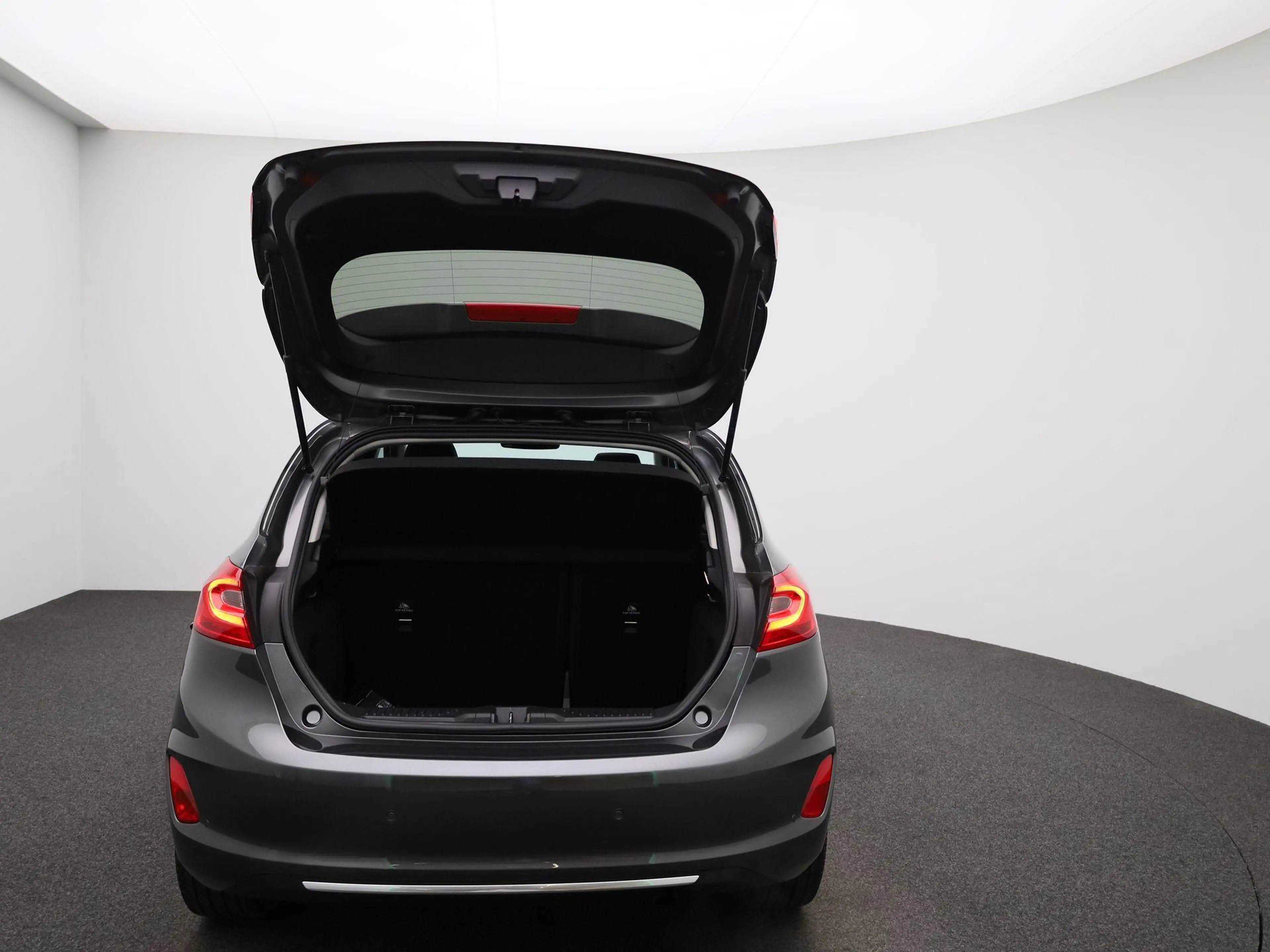 Ford Fiesta 1.0 EcoBoost Hybrid Vignale Panoramadak | Winterpa — photo 11