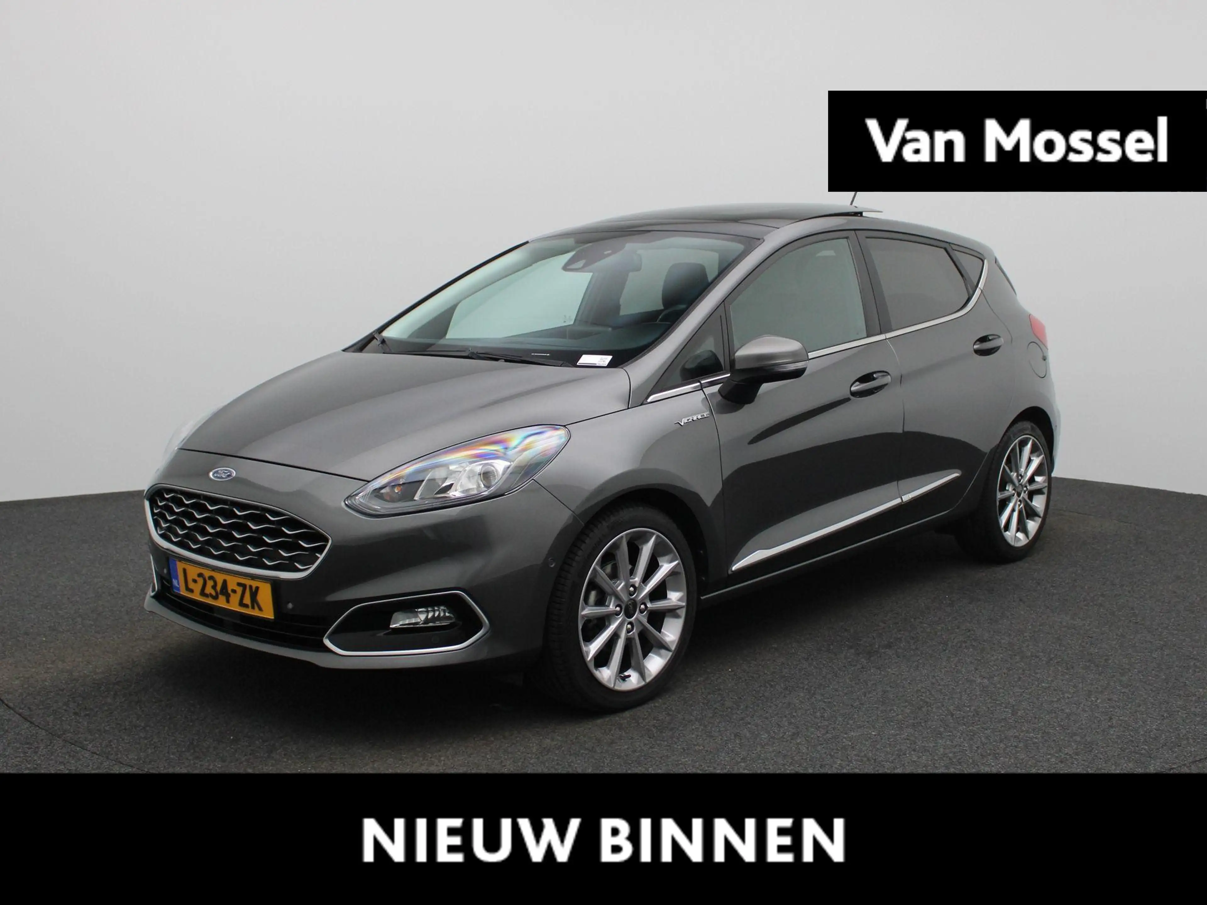 Ford Fiesta 1.0 EcoBoost Hybrid Vignale Panoramadak | Winterpa