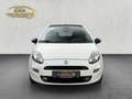 Fiat Punto Pop Weiß - thumbnail 8