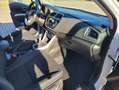 Suzuki SX4 S-Cross 1.4 COMFORT ALLGRIP HYBRID Weiß - thumbnail 23