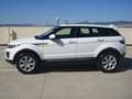 Land Rover Range Rover Evoque 2.0TD4 HSE 4WD Aut. 180 Blanco - thumbnail 2