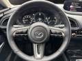 Mazda CX-30 e-SKYACTIV X Automatik Exclusive-Line Rot - thumbnail 10