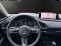 Mazda CX-30 e-SKYACTIV X Automatik Exclusive-Line Rot - thumbnail 19