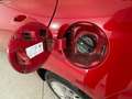 Kia Rio 5 Porte 1.2 MPi Evolution Rouge - thumbnail 9