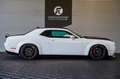 Dodge Challenger Dodge Challenger R/T 50th Anniversary EDITION Weiß - thumbnail 4