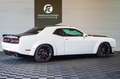 Dodge Challenger Dodge Challenger R/T 50th Anniversary EDITION Weiß - thumbnail 5