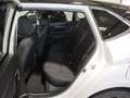 Hyundai i20 Hyundai i 20 1.0 T-GDI Mild-Hybrid Prime Digitales Weiß - thumbnail 14