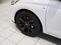 Hyundai i20 Hyundai i 20 1.0 T-GDI Mild-Hybrid Prime Digitales Weiß - thumbnail 8