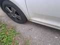 Skoda Rapid/Spaceback Rapid Spaceback 1,2 TSI Company Company Weiß - thumbnail 3