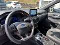 Ford Kuga 2.5 PHEV  ST-Line X #Keyfree #Kamera #Sitzhzg Rojo - thumbnail 11