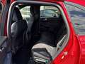Ford Kuga 2.5 PHEV  ST-Line X #Keyfree #Kamera #Sitzhzg Rojo - thumbnail 12