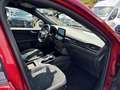 Ford Kuga 2.5 PHEV  ST-Line X #Keyfree #Kamera #Sitzhzg Rojo - thumbnail 15