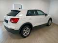 Audi Q2 30 TDI S tronic Business - thumbnail 6