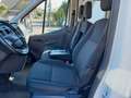 Ford Transit Pritsche 310 L2 Doppelkabine Trend Weiß - thumbnail 6