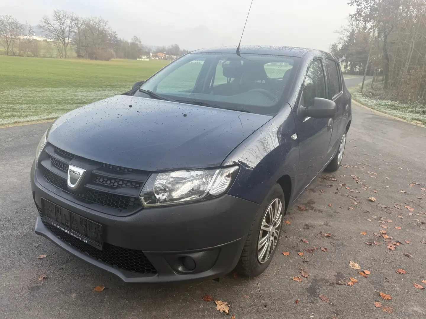 Dacia Sandero Blau - 1