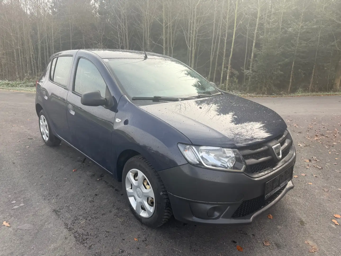 Dacia Sandero Blau - 2