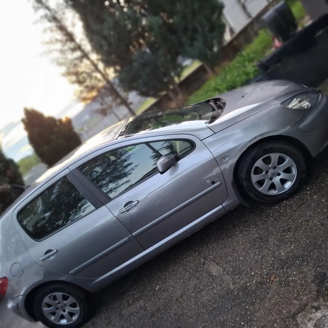 Peugeot 307 blank 1,6 HDI - 1
