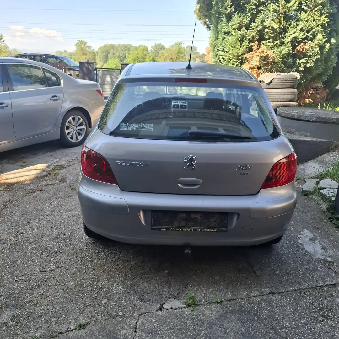 Peugeot 307 blank 1,6 HDI - 2
