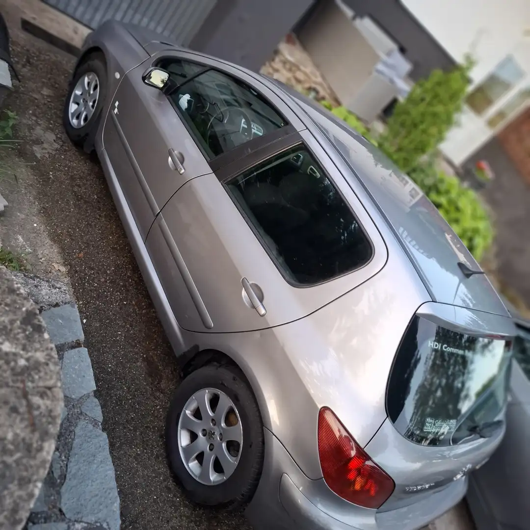 Peugeot 307 blank 1,6 HDI - 2