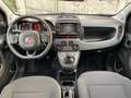 Fiat Panda Cross 1.0 firefly hybrid City Cross NO VINCOLI !! Verde - thumbnail 23
